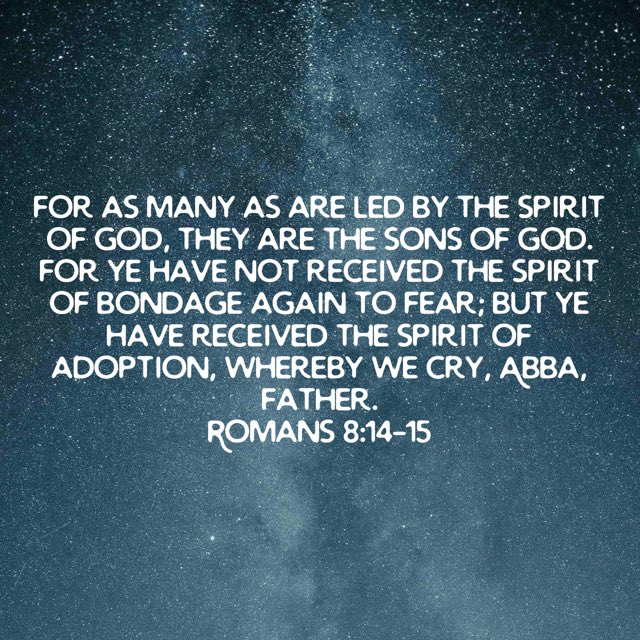 Pastor Mikey Jones aka Big Bear (@pastormikey_j) on Twitter photo 