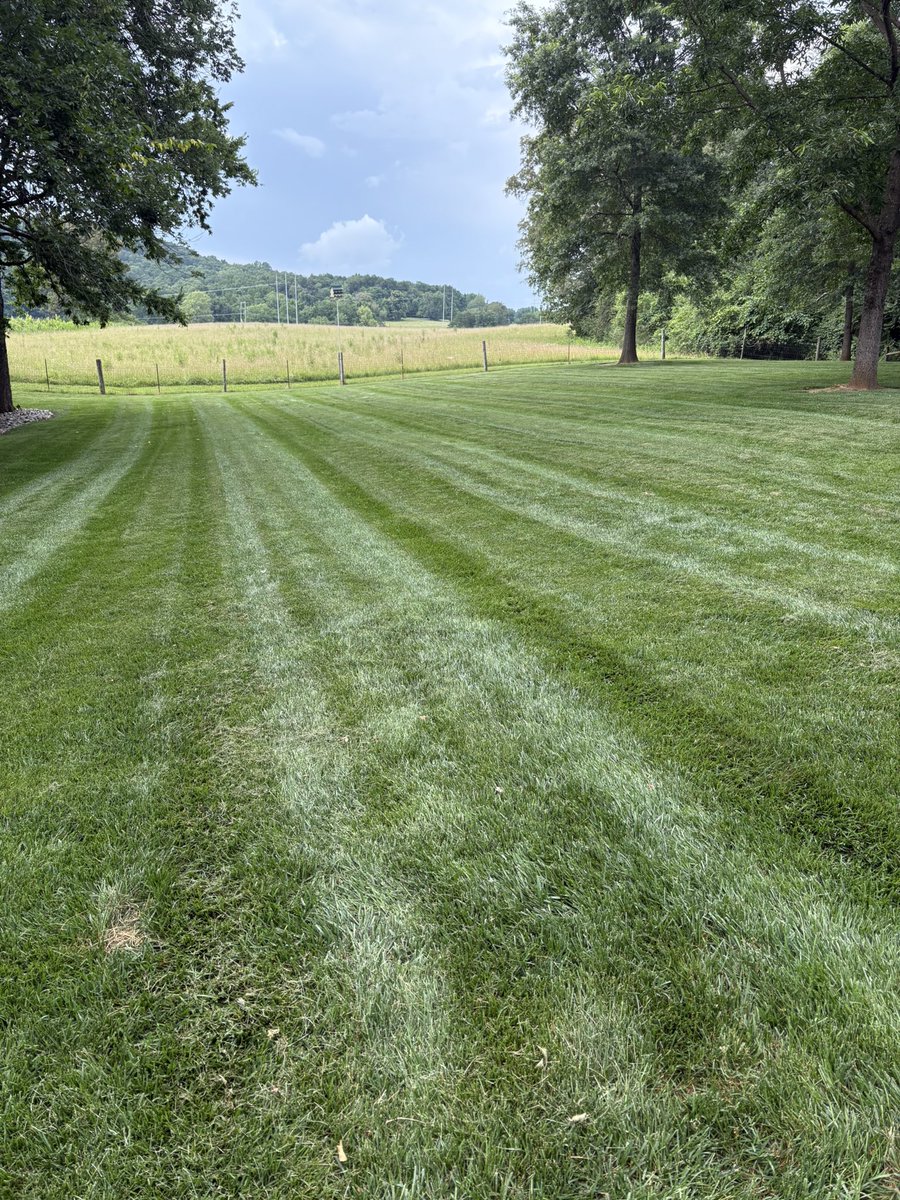 Tyler Warner tweet media