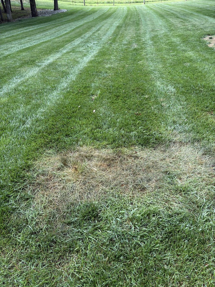 Tyler Warner tweet media