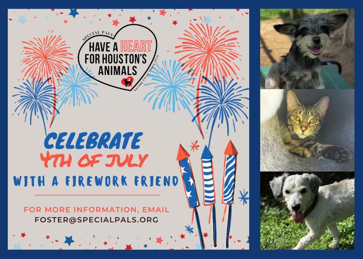 Fosters wanted! Take a pup for a weekend and help us! Email foster@specialpals.org today!