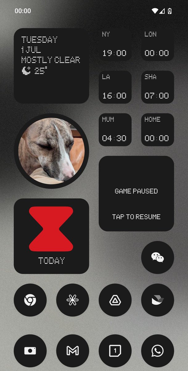 bishdoesnothing's tweet image. Today! Yes, I am obsessed with my dog.
