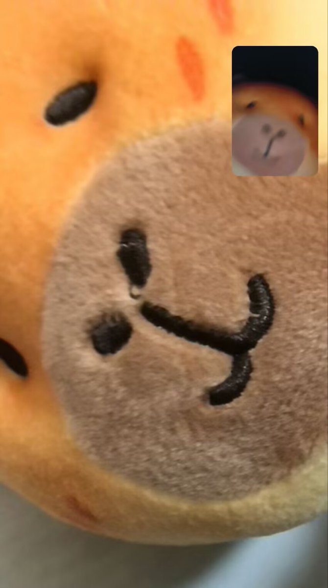 死別