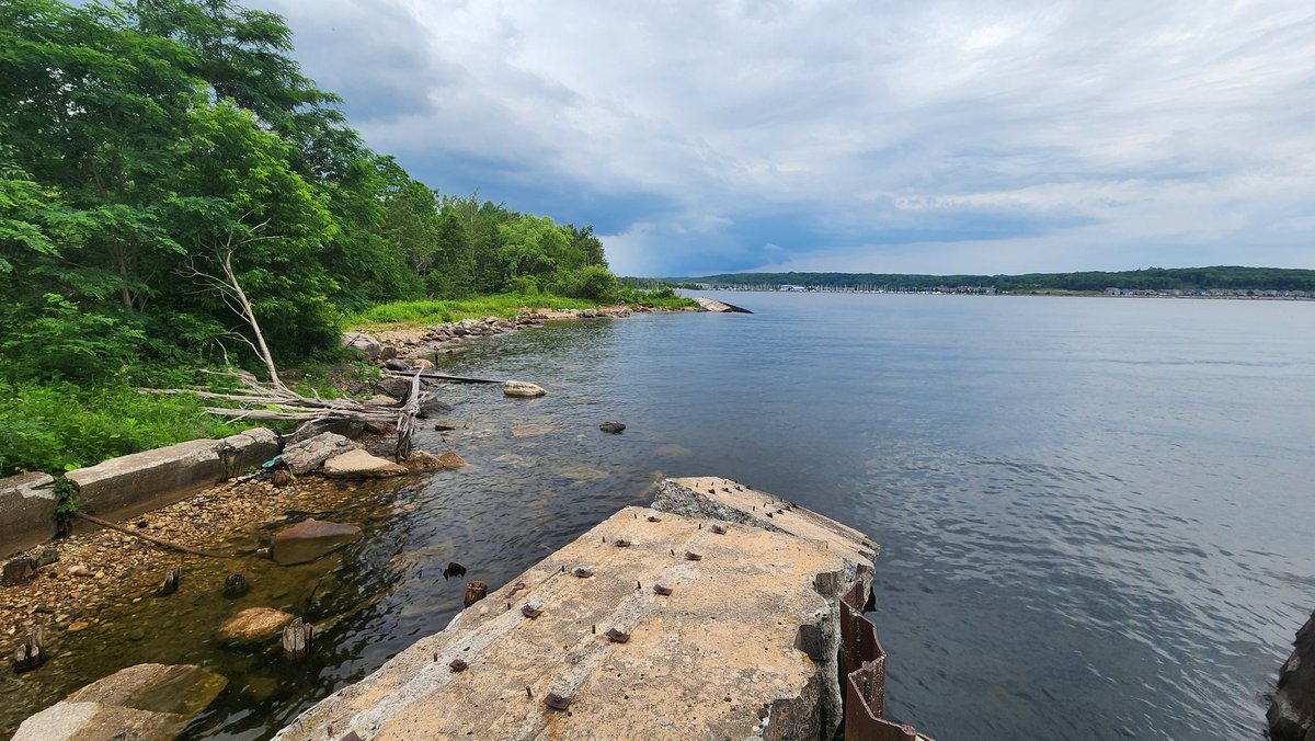 6SProductions's tweet photo. #MidlandTownDock #TownDocks #MidlandOntario #GeorgianBay #CoalDocks #Nature #NaturePhotography #Photography #6SPhotography #NoEdits #NoFilters #Water #LakeLife #Waterfront #WaterfrontViews #Marina #Abandoned #AbadonedPlaces #CalmingVideos #Tranquility #RelaxingSounds https://t.co/2TOHvWwTgS