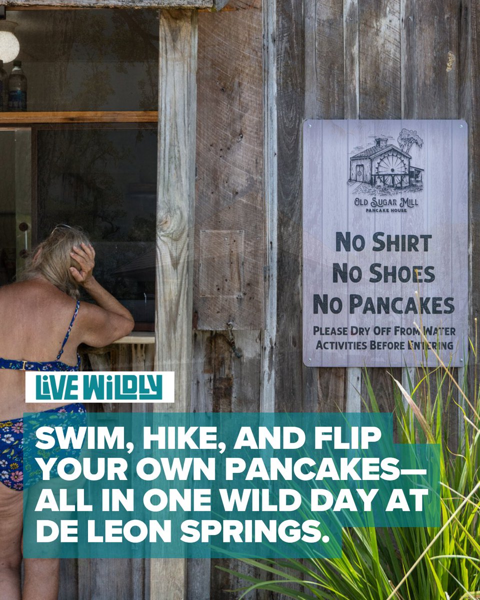 Live Wildly tweet media