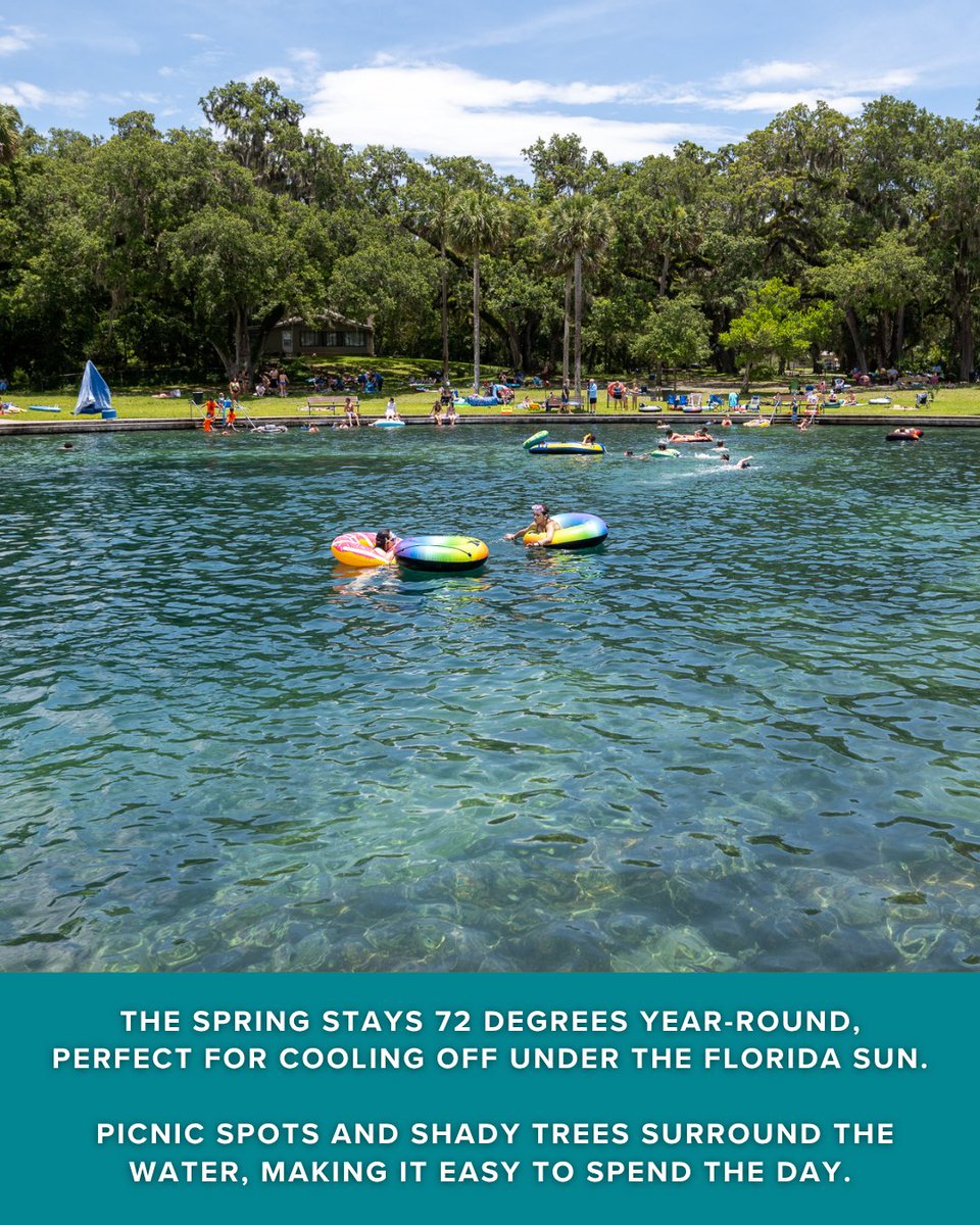 Live Wildly tweet media