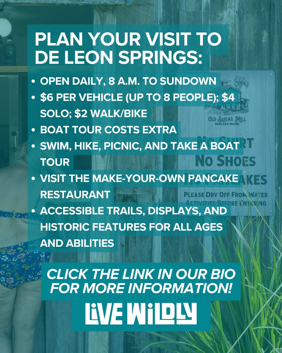 Live Wildly tweet media