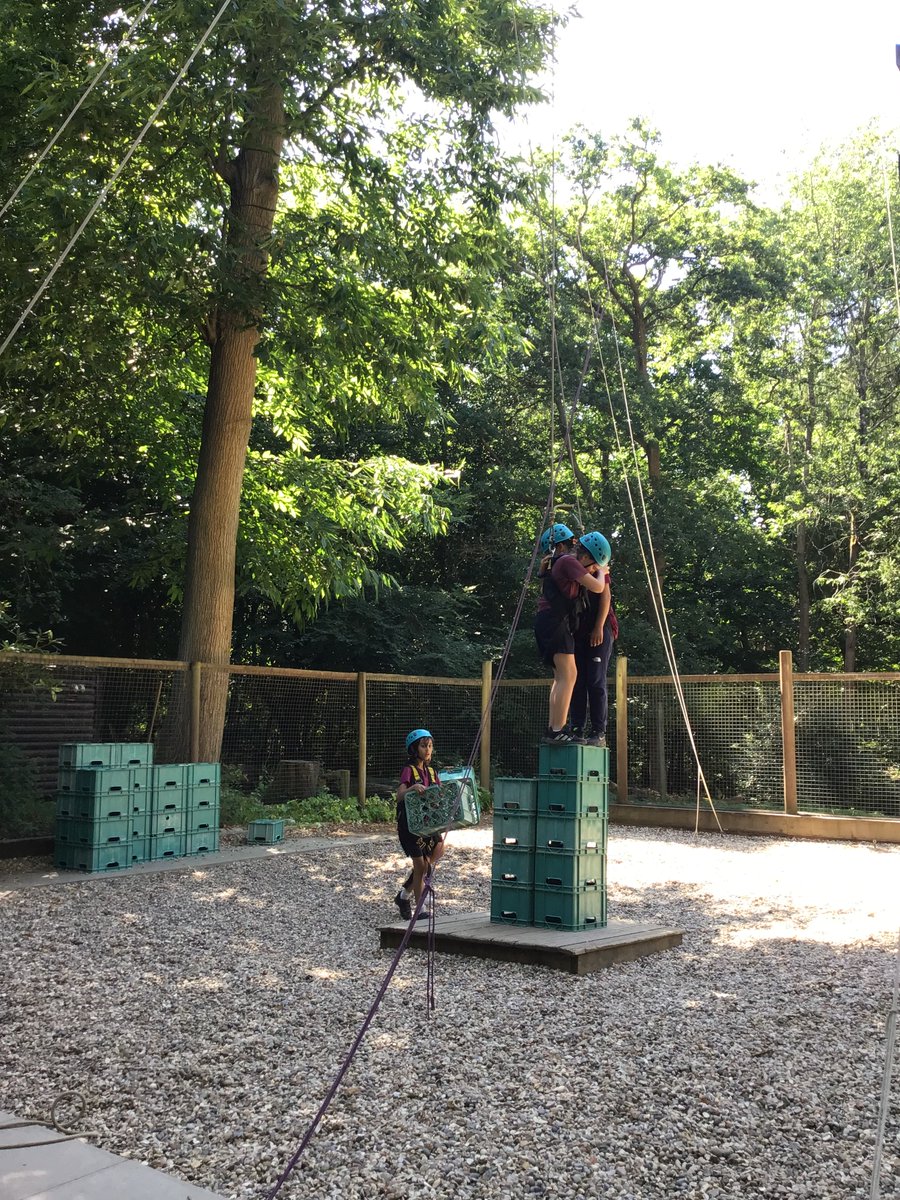 AVPA Year 4 tweet media