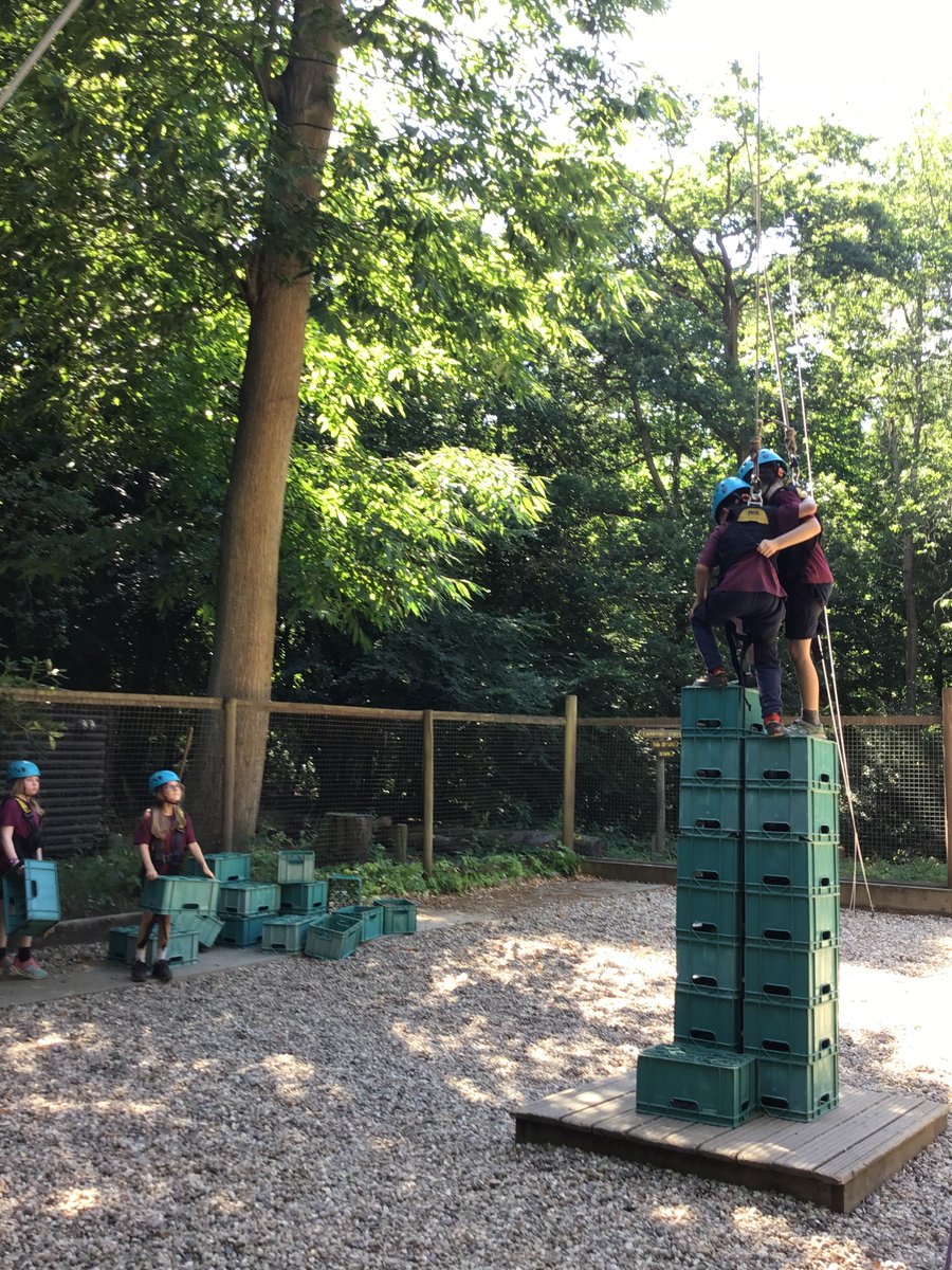 AVPA Year 4 tweet media