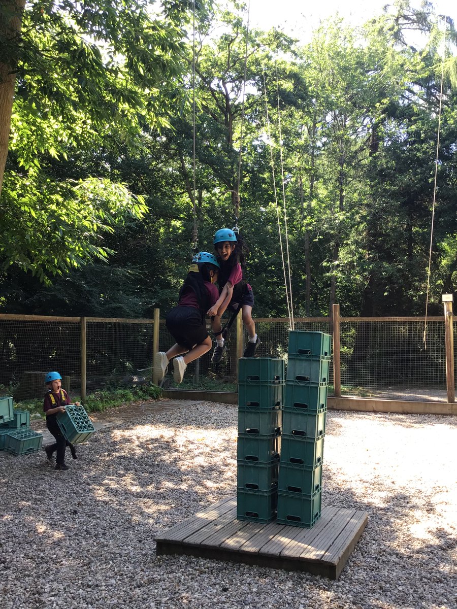 AVPA Year 4 tweet media