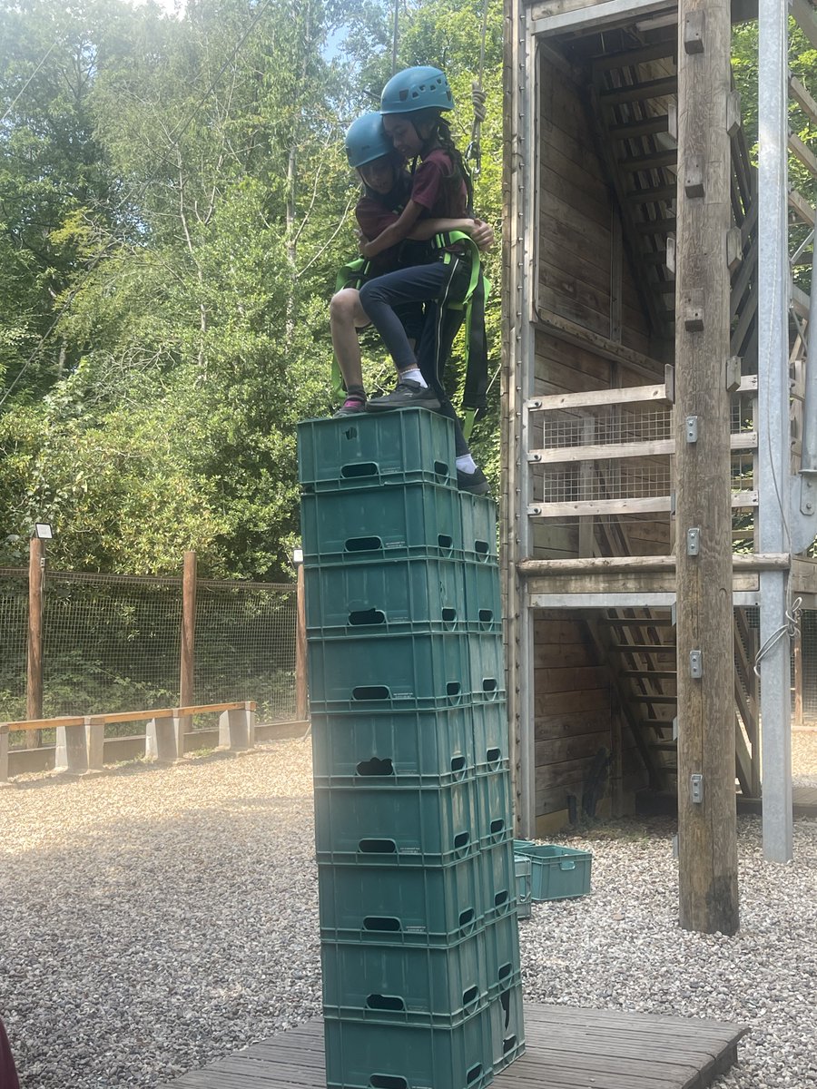 AVPA Year 4 tweet media