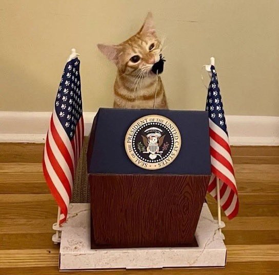 He's running for office
