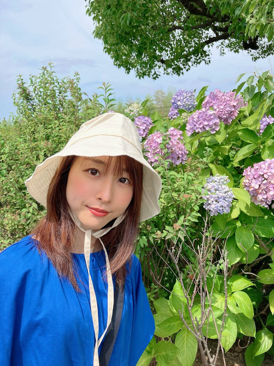 _mn327's tweet image. おはようございます🤗☀️
#和泉リサイクル環境公園 に
少しだけ紫陽花咲いてて嬉しかった🤭💠✨