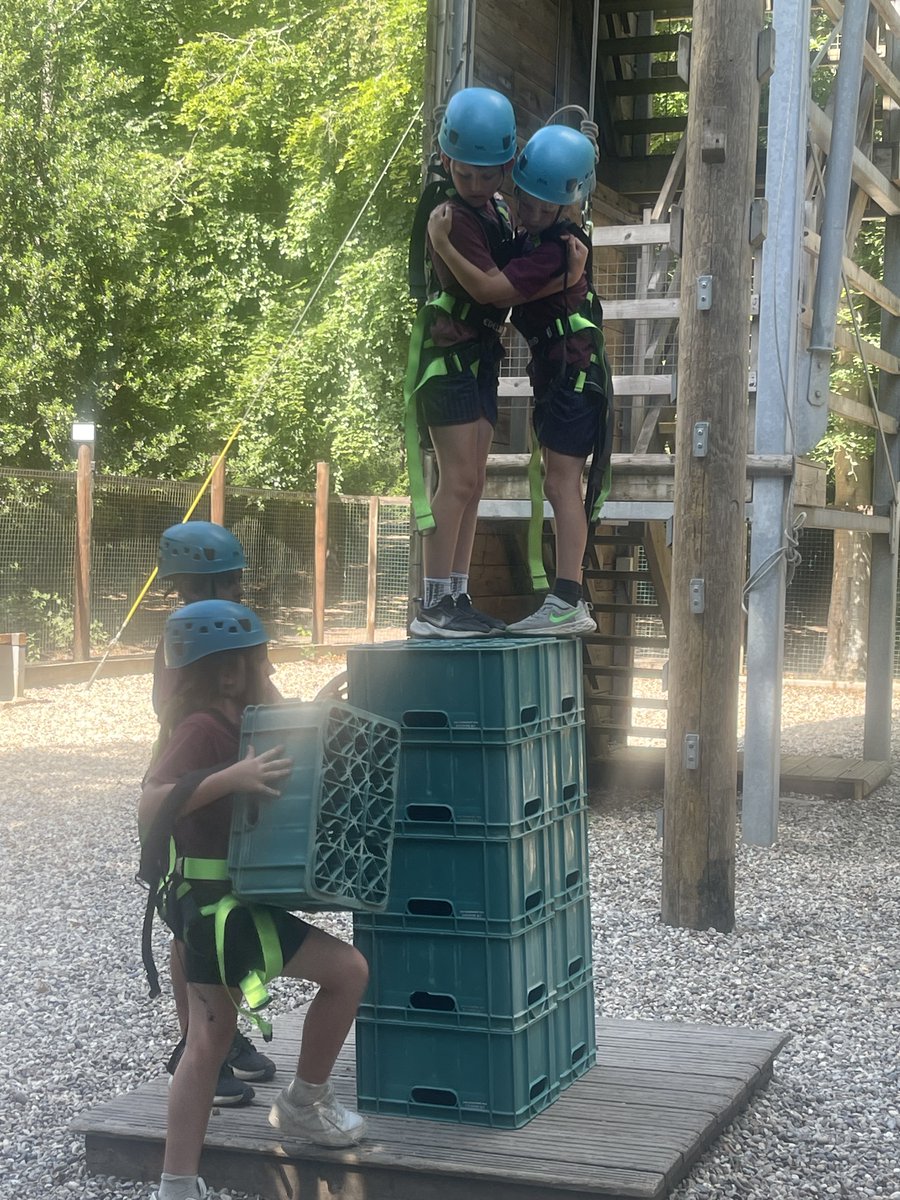 AVPA Year 4 tweet media