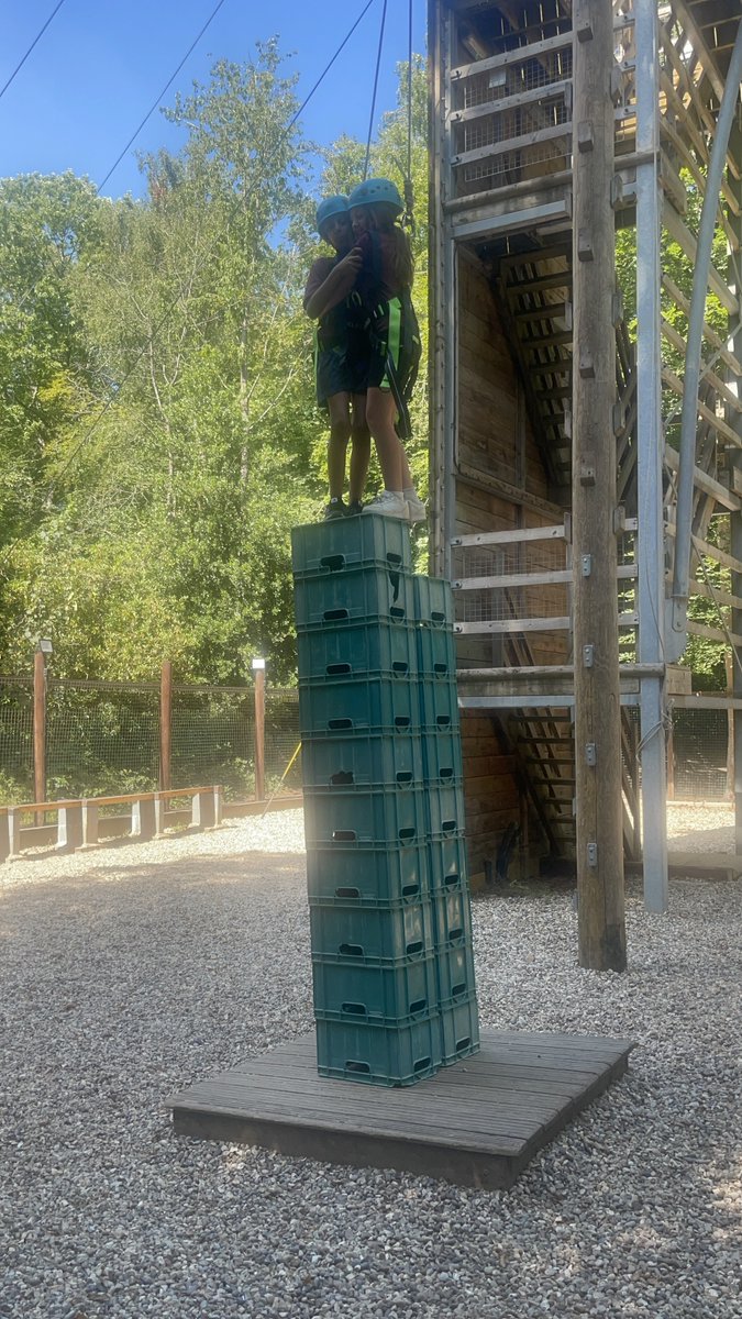 AVPA Year 4 tweet media