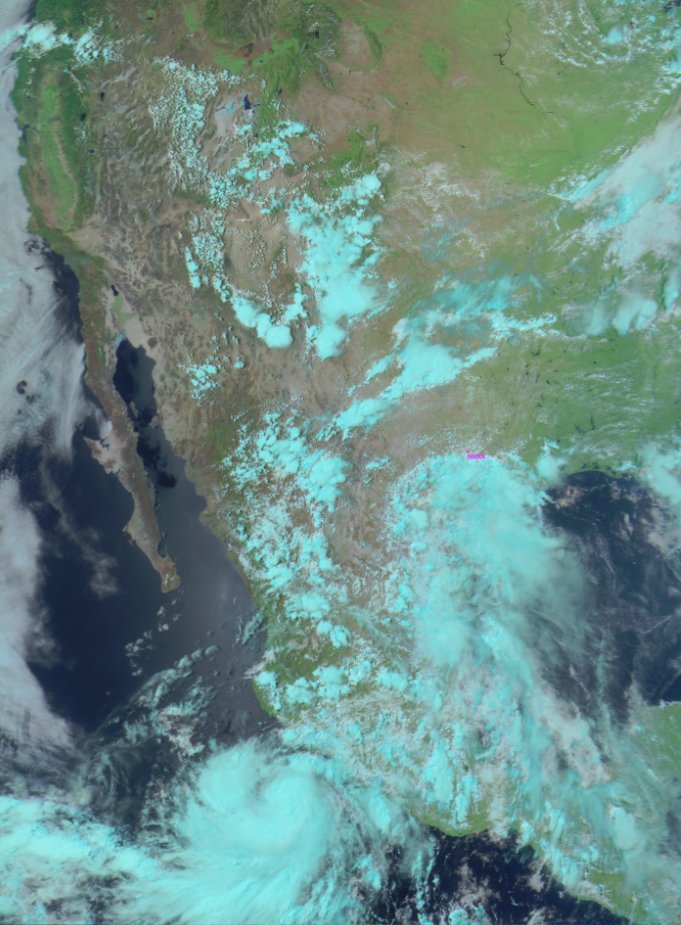 David Trolinger N5ZKK tweet media