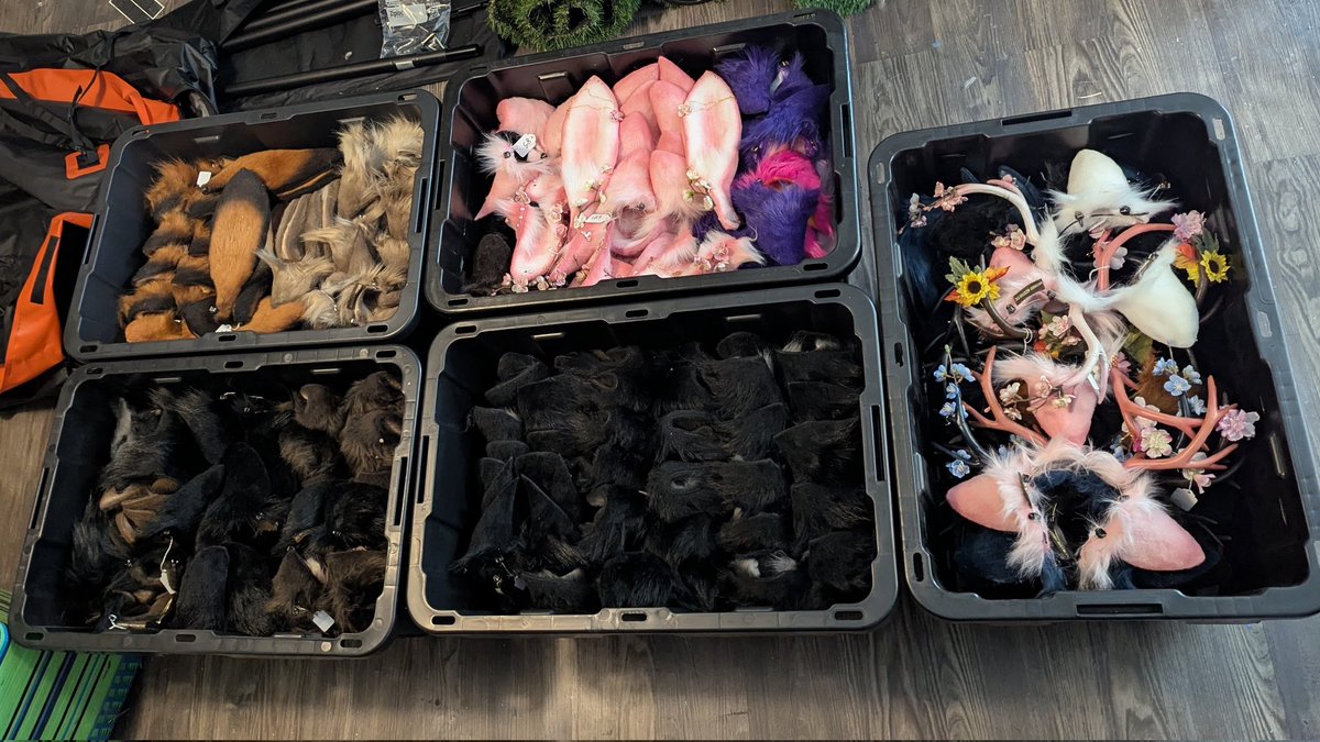 AnthroAesthetic 🔜TFF🔜 AC🔜Denfur? tweet media