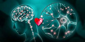 griso_unav's tweet photo. Si todo era sombra, ¿por qué el amor —ese error—
pudo hackear mi coraza neuronal?

Por eso grito —aunque nadie archive mi clamor—:
«No hay verdad única, mas hay bien posible».
Obrar bien, aun soñando, es sembrar balizas
para quien despierte luego y busque norte.

#CalderónEsSueño https://t.co/Gb2R4U564U
