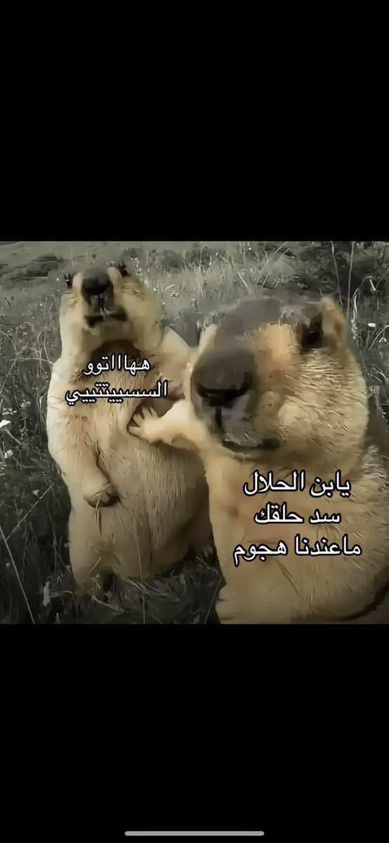 p55xx's tweet photo. @hilalstuff ولادفاع: https://t.co/56knZ3Us2S
