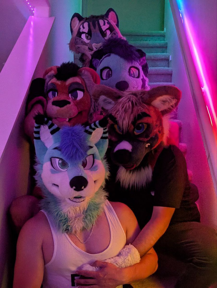 Floofy_Geo's tweet image. Oh…are you trying to go up?