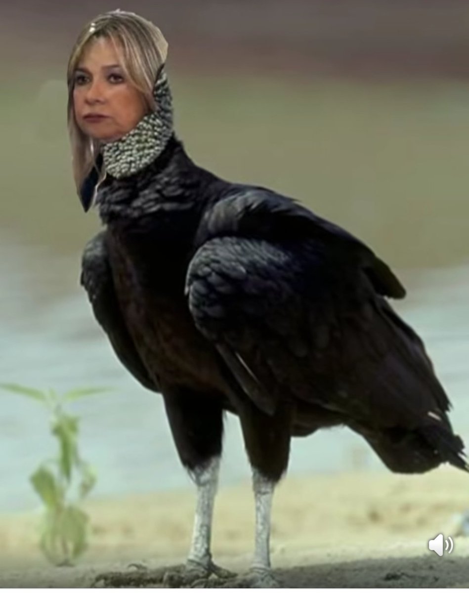 Maria Paulita Campo (@marialajoker) on Twitter photo Buenas tardes a todos menos a Victoria Dávila, Muchas preguntas por resolver <a href="/VickyDavilaH/">Vicky Dávila</a> Buenas tardes a todos menos a Victoria Dávila, Muchas preguntas por resolver <a href="/VickyDavilaH/">Vicky Dávila</a>