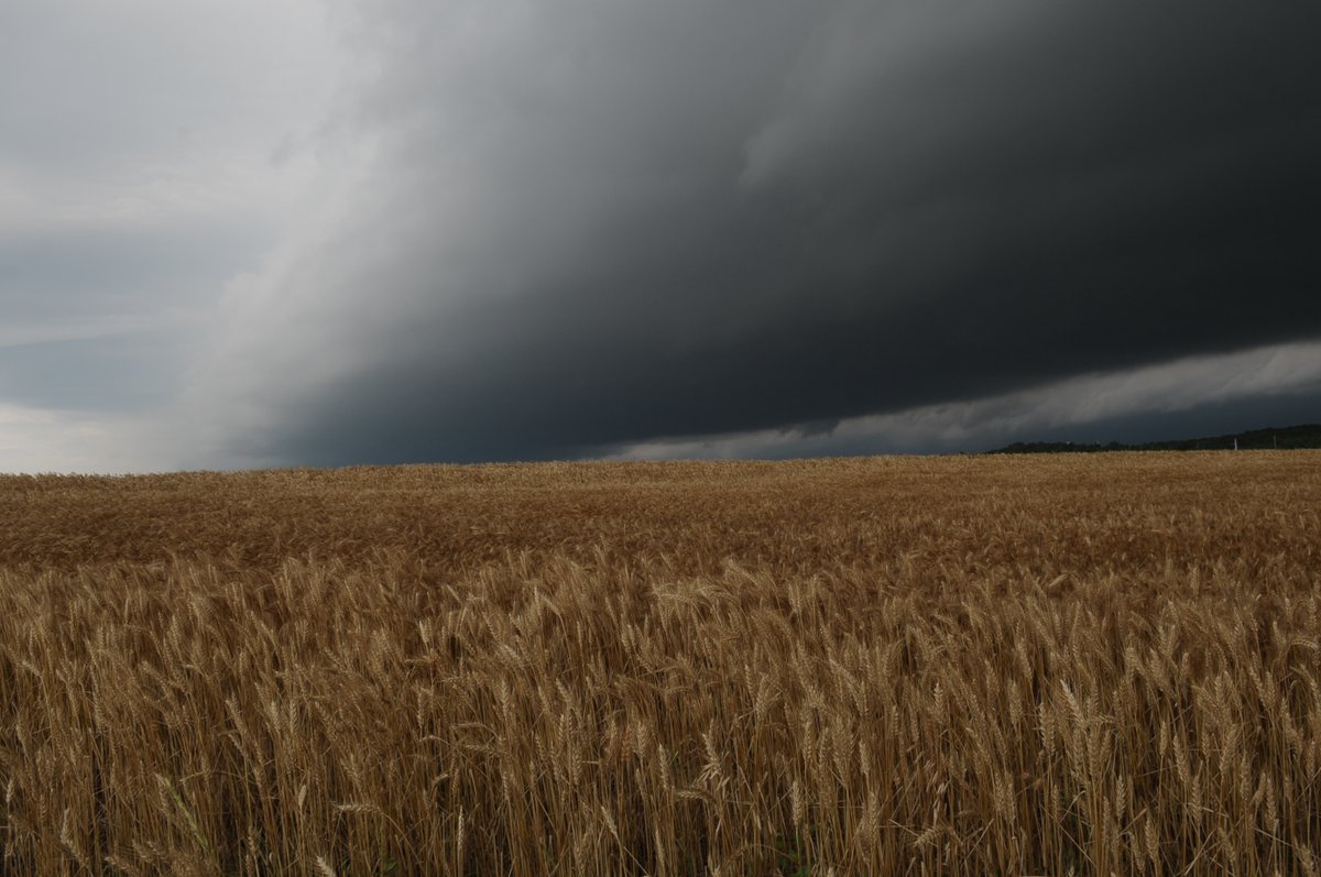 Did the recent weather cause your crops to no longer be standing upright or overflow your pond or river? Hear what K-State specialists recommend for people needing to take care of their crops and property on today's show of Agriculture Today. 
agtodayksu.libsyn.com/1964-livestock…