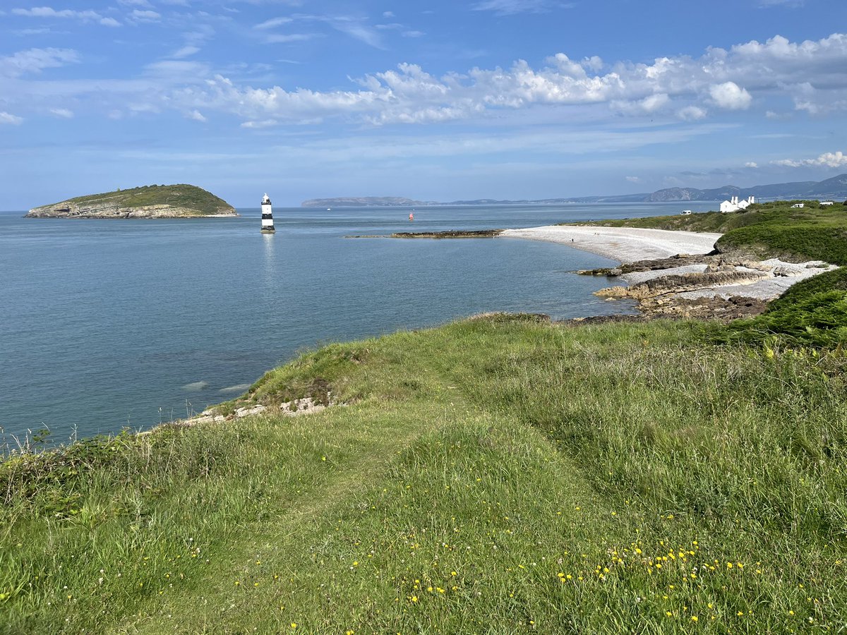 Puffin Island off NE Anglesey. What a beautiful place. Spotted 4 Puffin on sea off the island, 1,500+ Guillemot, several Razorbill, 100’s Shags &amp; Cormorants etc, plus a imm drake Eider.
Once this island held 50,000 pairs of Puffin….until rats got on😧 Now just a handful…