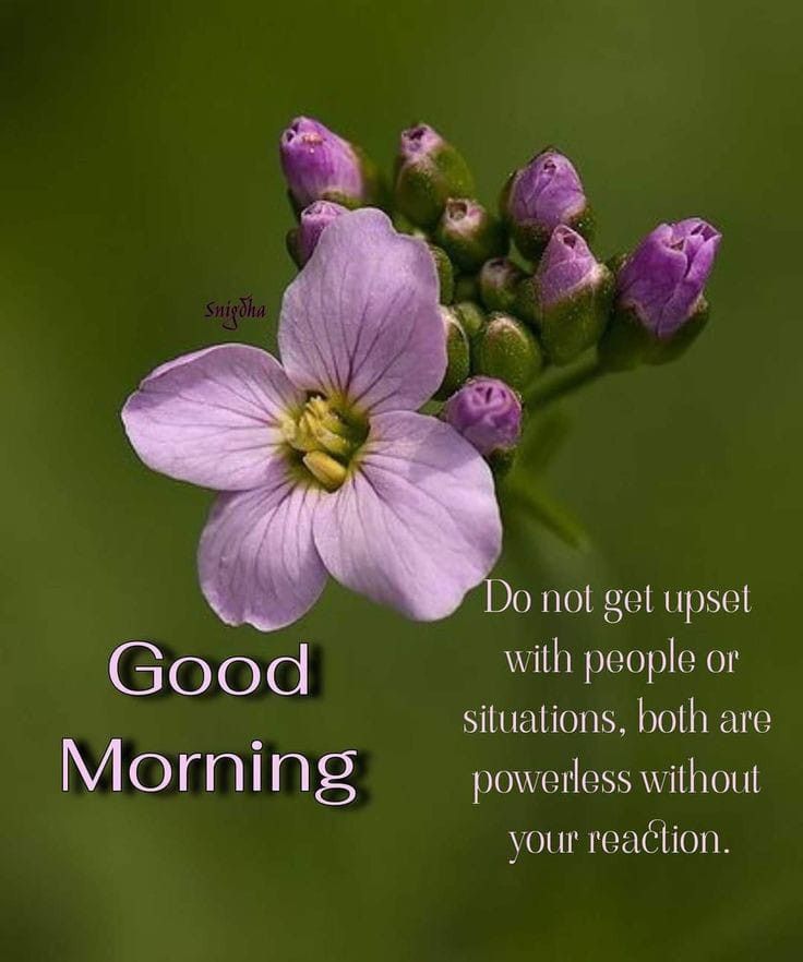 Assalam o Alaikum!🩷
Good Morning!🌄
Have a Great Day!🍁