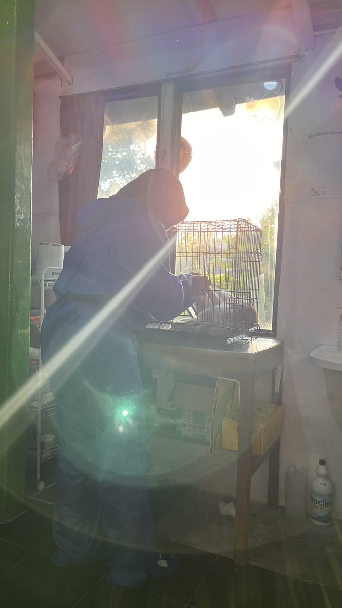 gaji pertama baru dapet 1/4 itu pun ga seberapa, tapi mau ga mau harus buat dia🥹