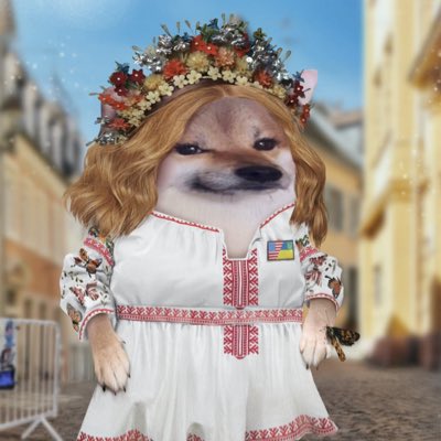 Mrs. Lovey Howell американка 🛡️🦋✚ 🇺🇦 tweet media