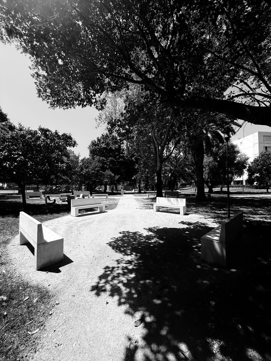 Alonein43672278's tweet photo. #photography #blackandwhite #gsrden #benches #trees #sun #shadows https://t.co/CkwvspUTrZ