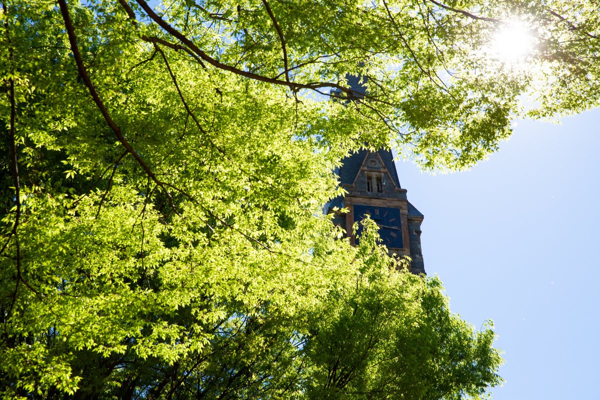 Georgetown Admissions tweet media