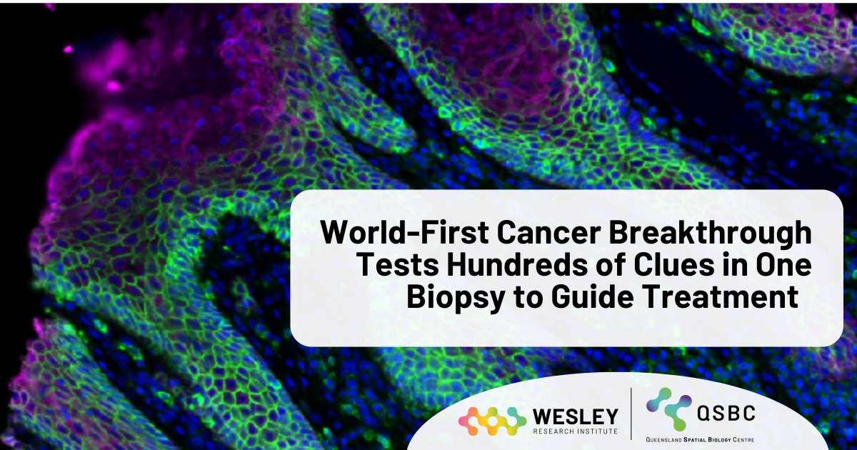 Wesley Research Institute (@wesleyresearch) on Twitter photo In a world-first discovery from the <a href="/Qld_SBC/">Queensland Spatial Biology Centre</a> , doctors can now check hundreds of markers in a single biopsy to show which treatments, like #immunotherapy, #chemotherapy or #radiotherapy, will work best for patients with head and neck #cancer.
Learn more wri.org.au/QSBC In a world-first discovery from the <a href="/Qld_SBC/">Queensland Spatial Biology Centre</a> , doctors can now check hundreds of markers in a single biopsy to show which treatments, like #immunotherapy, #chemotherapy or #radiotherapy, will work best for patients with head and neck #cancer.
Learn more wri.org.au/QSBC