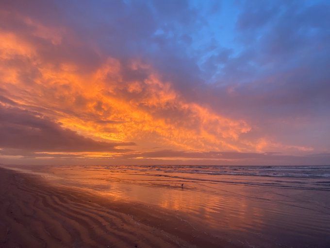 SaltyDGalveston's tweet image. Galveston Texas at sunrise.