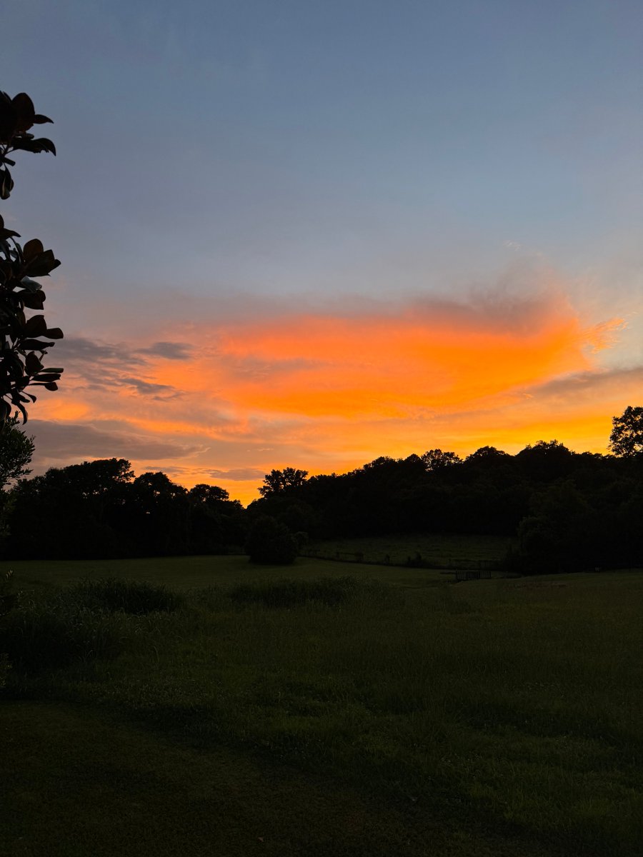 UT_Southern's tweet image. Ending the month of June on the right note with a gorgeous Middle, TN sunset >>> 😍🌅
#MiddleTennessee #UTSouthern #Pulaski #University #SmallCollege