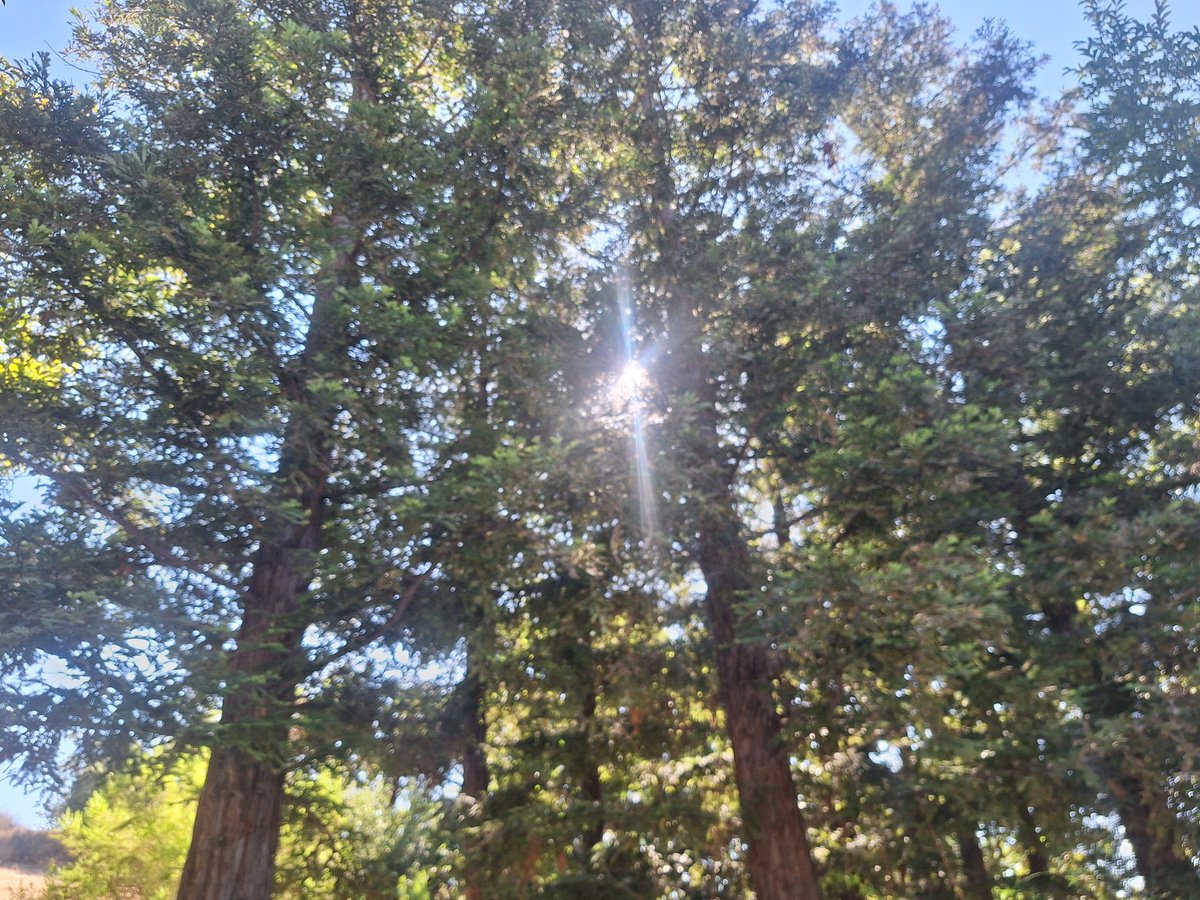 CLee71's tweet image. 