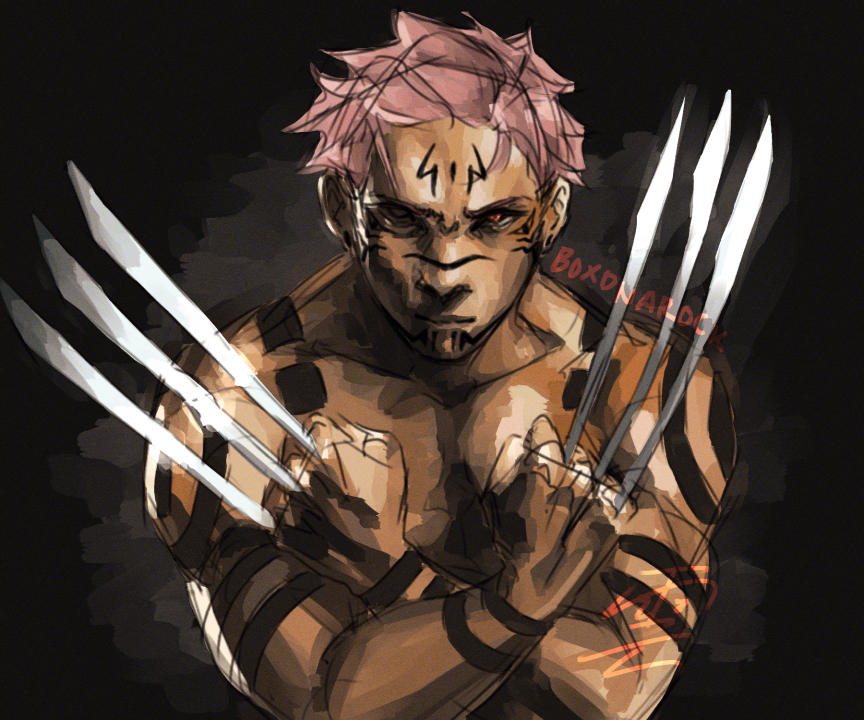 i read a wolverine sukuna au fic