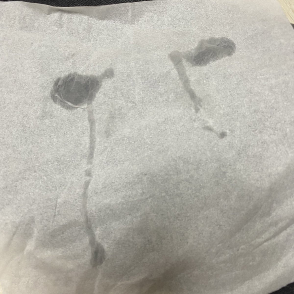 말도안돼............................