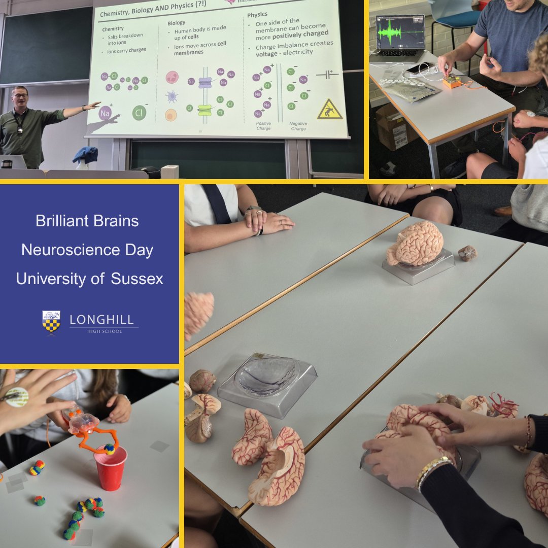 Year 9 pupils took part in the Brilliant Brains Neuroscience Day at the University of Sussex, an exciting event run in collaboration with Brighton and Sussex Medical School.

Read about it here: longhill.org.uk/2025/07/brilli…

#LonghillHighSchool #neuroscience #aspiration <a href="/SussexUni/">University of Sussex</a>
