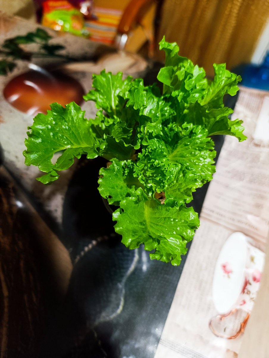 недовольный дед tweet media