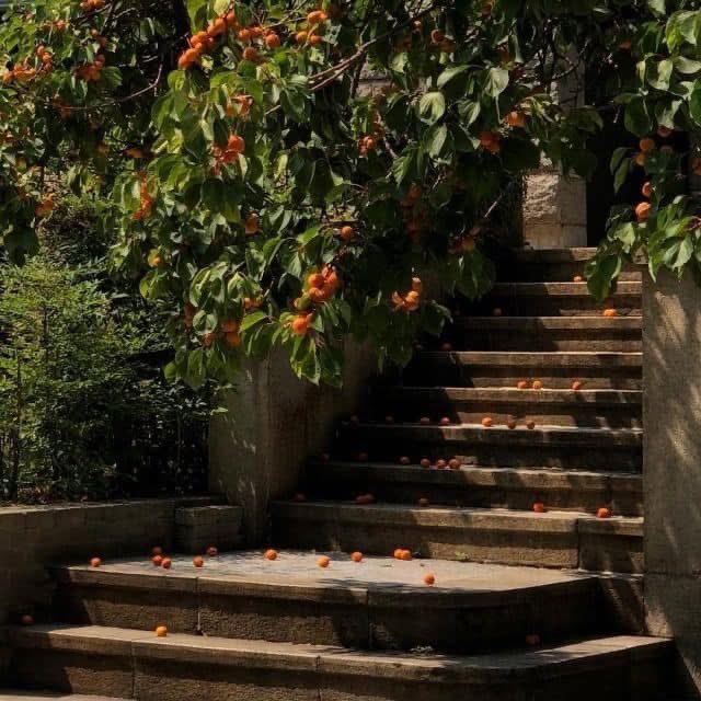 Abdelrhman mohamed (@abdelrhmanrr) on Twitter photo 