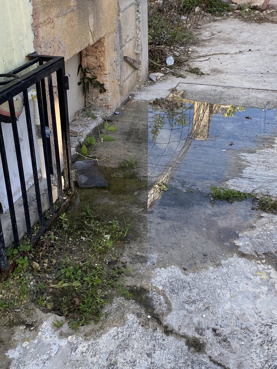 Adrisabelp's tweet photo. @DHCAGUAKAN llevo más de 5 meses reportando la fuga en el tubo que suministra agua a mi casa, y no vienen a repararla. Cada vez se desperdicia más agua. https://t.co/p6ieCajEdp