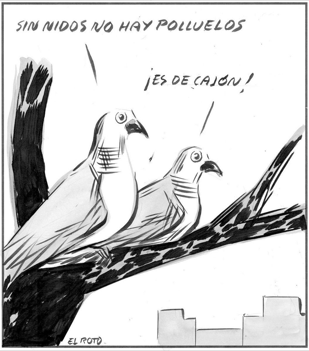 Jesus_Lens (@jesus_lens) on Twitter photo Esta viñeta de El Roto nos sirve para contextualizar nuestra reunión biotópica de hoy en <a href="/LibreriaPicasso/">Librerías Picasso</a> con el libro de Stephen Moss “Diez aves que transformaron el mundo” publicado por <a href="/SalamandraEd/">Ediciones Salamandra</a> Buenos días. Esta viñeta de El Roto nos sirve para contextualizar nuestra reunión biotópica de hoy en <a href="/LibreriaPicasso/">Librerías Picasso</a> con el libro de Stephen Moss “Diez aves que transformaron el mundo” publicado por <a href="/SalamandraEd/">Ediciones Salamandra</a> Buenos días.
