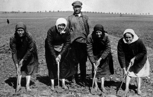 KapitanKenguru's tweet image. 1 июля 1966 года в колхозах впервые выдали зарплаты деньгами. До этого крестьяне работали за «трудодни», то бишь, как рабы, за еду. Права покидать колхозы они не имели. Паспорта и право переезжать в другую местность сельское население получило только с 1974 г.