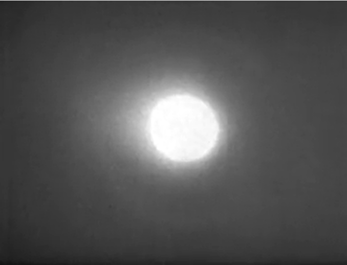 Steven Graham tweet media