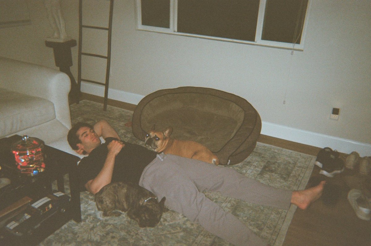 Noah Fearnley tweet media