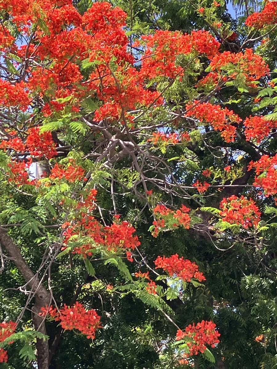 BAQUIAN Maggy tweet media