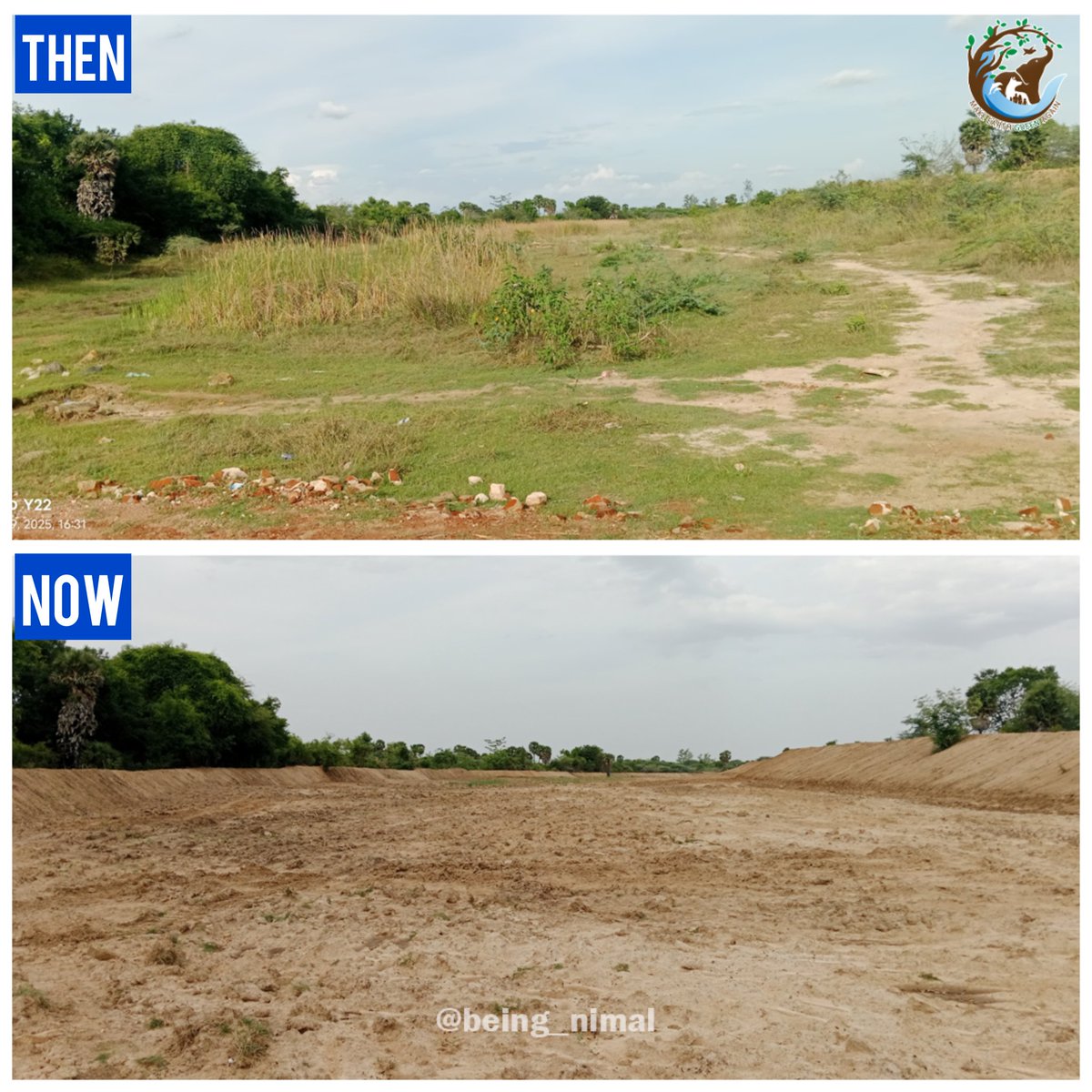 புதுக்கோட்டை மிகப்பெரிய பாசன ஏரியான கவிநாடு கண்மாயில் வரத்து வாரிகள் சீரமைக்கும் பணிகள் நடந்து கொண்டிருக்கிறது.

#BounceBackDelta #Cauvery #SaveWater #MegaFoundations #WaterCrisis #SDG