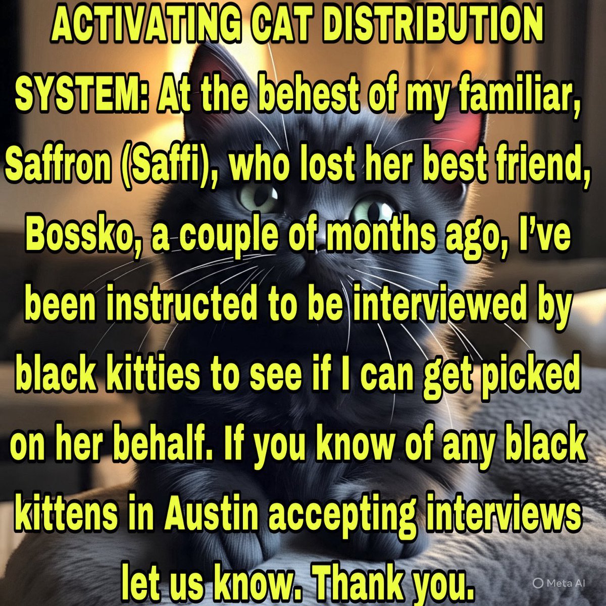 hash_tagger (@hash_tagger) on Twitter photo 