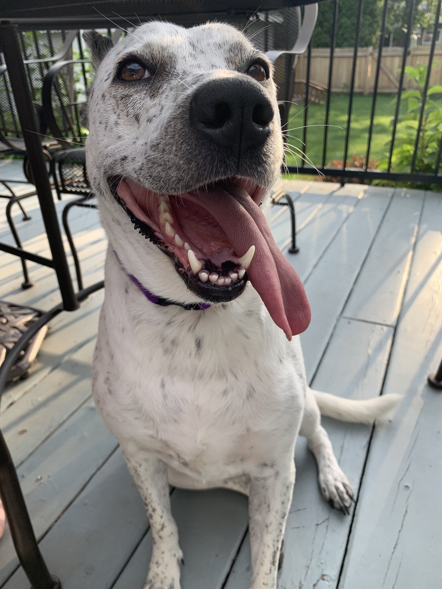 Its okay to expect more 🇵🇸🔻 tweet media