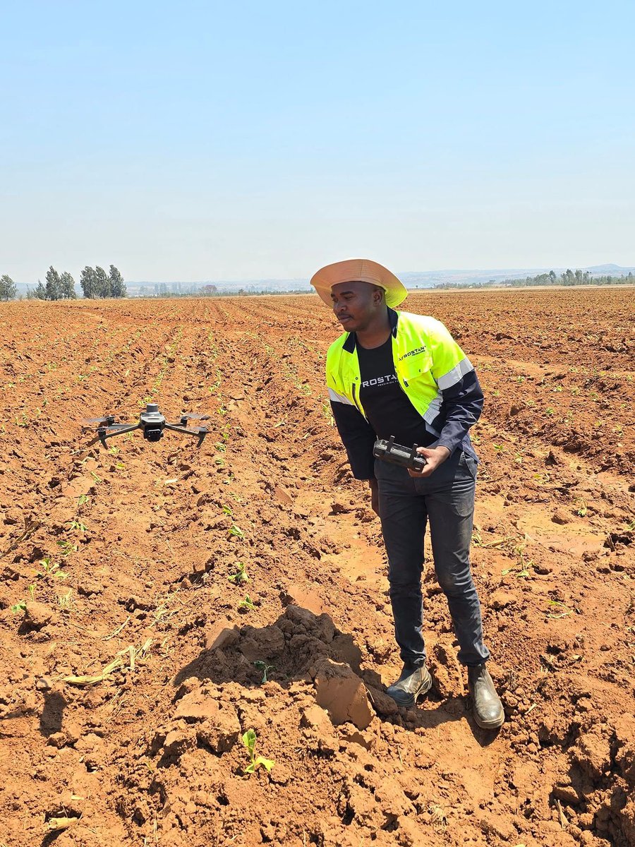 Key Tips for Winter Maize Production

1. Choose cold-tolerant variety and plant at the right time.

2. Prepare soil and irrigate adequately.

3. Fertilize wisely and monitor for pests/diseases.

4. Harvest at maturity, check moisture content, and harvest on time.

5. Be